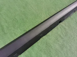 Tesla Model S Priekinis slenkstis (kėbulo dalis) 6005875-00-G
