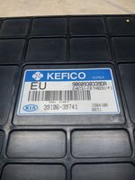 KIA Opirus Calculateur moteur ECU 3910639741