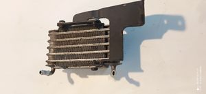 BMW 5 E39 Degvielas dzesētājs (radiators) 133222474113000