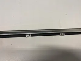 KIA Rio Front door trim (molding) 