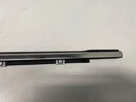 KIA Rio Front door trim (molding) 