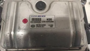 KIA Rio Galios (ECU) modulis 39128-04000