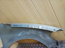 Dodge Grand Caravan Fender 