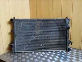 Renault Vel Satis Coolant radiator 