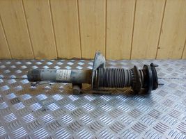 Ford Tourneo Ammortizzatore anteriore 2T1418057BL