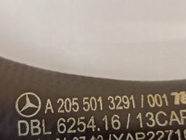 Mercedes-Benz C AMG W205 Трубка (трубки)/ шланг (шланги) A2055013291