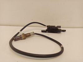 Skoda Superb B8 (3V) Sonde lambda 05L097807J