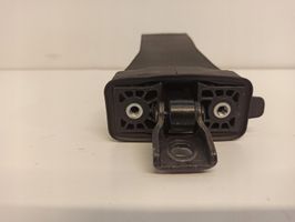 Volkswagen Tiguan Front door check strap stopper 