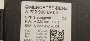 Mercedes-Benz C W205 Kameros valdymo blokas A2229000905