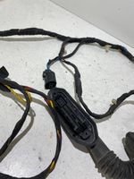 BMW X5 E53 Rear door wiring loom 6937558