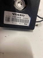 Volvo S80 Filtras antenos 31215629