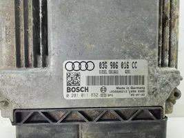 Audi A3 S3 A3 Sportback 8P Sterownik / Moduł ECU 03G906016CC