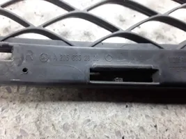 Mercedes-Benz C AMG W205 Front bumper lower grill A2058852823