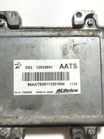 Opel Meriva B Sterownik / Moduł ECU 12639891