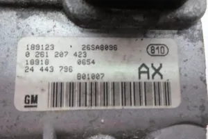 Opel Corsa C Sterownik / Moduł ECU 24443796