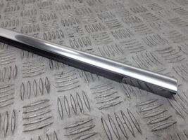 Porsche Cayenne (92A) Rear door glass trim molding 