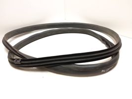 Volvo S60 Front door rubber seal 