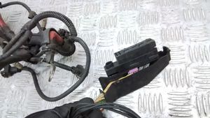 Volvo V70 Cableado de instalación del motor 30667431