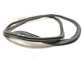 Volkswagen PASSAT B7 USA Front door rubber seal 