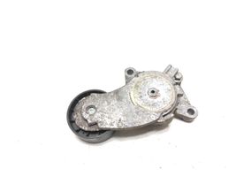 Volvo V60 Napinacz paska alternatora 846143