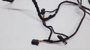 Audi A4 S4 B9 Other wiring loom DM843004