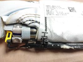 Volkswagen PASSAT B7 USA Poduszka powietrzna Airbag fotela 561880242