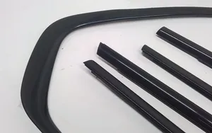 BMW X5 E70 Front door glass trim molding 