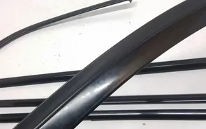 BMW X5 E70 Front door glass trim molding 