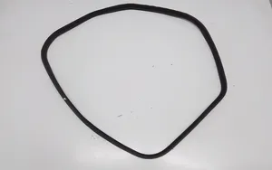 BMW 3 GT F34 Rear door rubber seal (on body) 