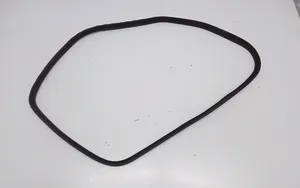 BMW 3 GT F34 Rear door rubber seal (on body) 