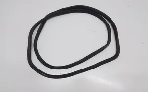 BMW 3 GT F34 Trunk rubber seal (body) 4827482