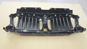 BMW X3 G01 Griglia anteriore 749722803