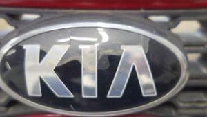 KIA Picanto Front grill 863511Y300