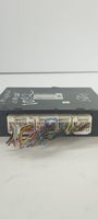 Ford Focus Centralina/modulo motore ECU 8956097429