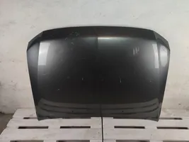 Mitsubishi Pajero Pokrywa przednia / Maska silnika brak
