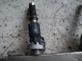 Opel Zafira B Injecteur de carburant 55559375