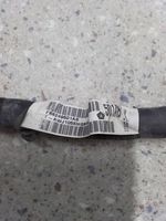 Dodge Charger Other wiring loom 68249501AB