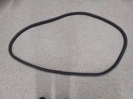 Ford Bronco Front door rubber seal 