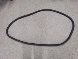 Ford Bronco Front door rubber seal 