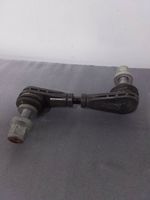 Ford Bronco Barra stabilizzatrice posteriore/stabilizzatore LX615C486ANA