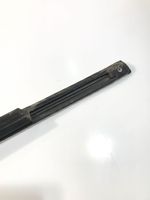 Chrysler Pacifica Rear door glass trim molding 