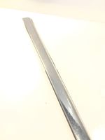 Chrysler Pacifica Rear door glass trim molding 