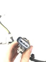 Subaru Outback (BS) Câblage / faisceau de câbles 