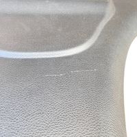 Chrysler 300C (B) pillar trim (top) 1PT56DX9AF