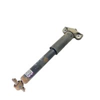 Ford Edge II Rear shock absorber/damper F2GC18W002