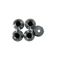 Ford Edge II Anti-theft wheel nuts and lock 