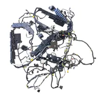 Ford Escape IV Kabelbaum innen rechts NX6T14A005NDEB