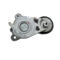 Nissan Murano Z52 Napinacz paska wielorowkowego / Alternatora 0226404