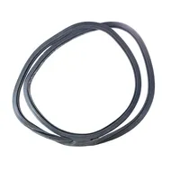 Ford Edge II Rear door rubber seal (on body) 