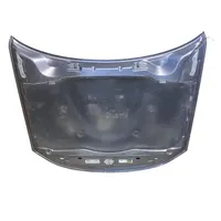 Dodge Charger Engine bonnet/hood 47480502AA